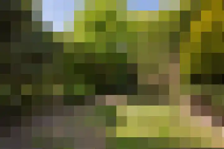Kersehôf 15 Berltsum thumbnail 44