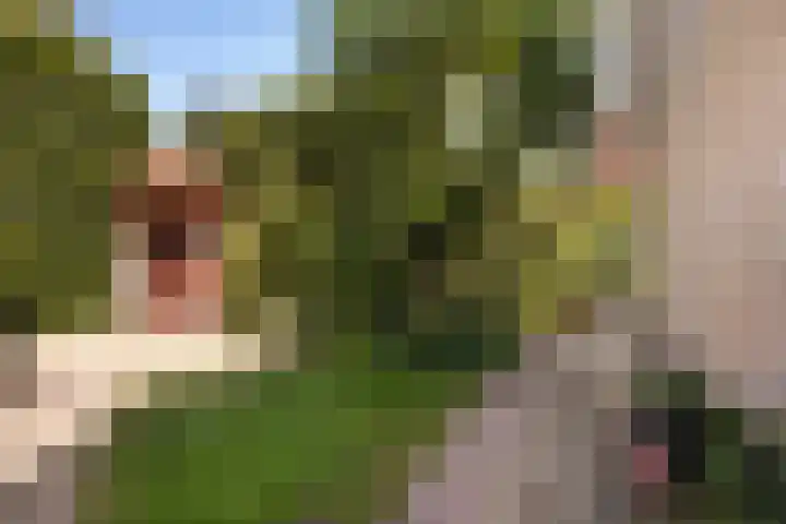 Kersehôf 15 Berltsum thumbnail 45