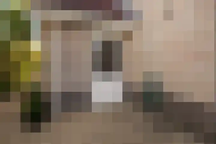 Kersehôf 15 Berltsum thumbnail 47