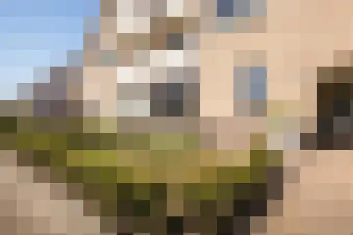 Kersehôf 15 Berltsum thumbnail 50