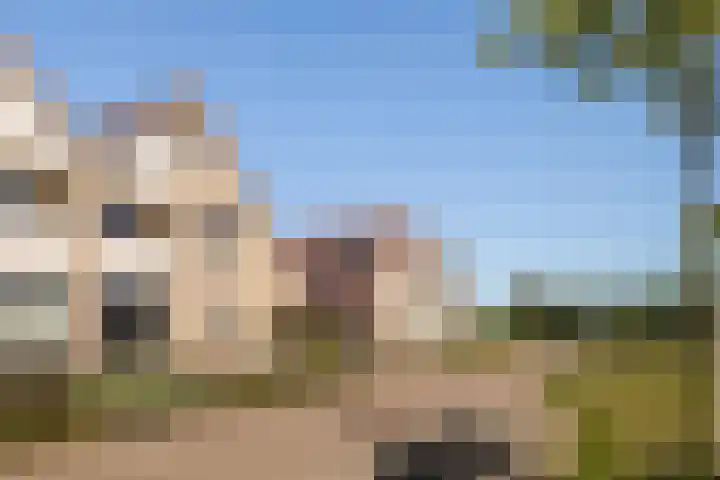 Kersehôf 15 Berltsum thumbnail 51