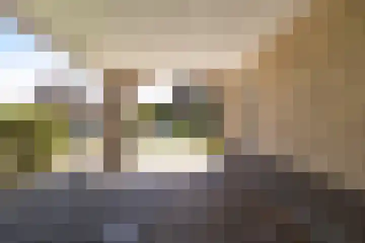 Kersehôf 15 Berltsum thumbnail 6