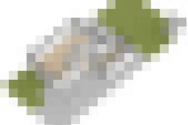 Kersehôf 15 Berltsum thumbnail 64