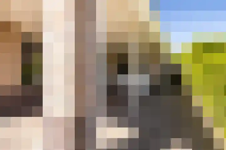 Kersehôf 15 Berltsum thumbnail 7