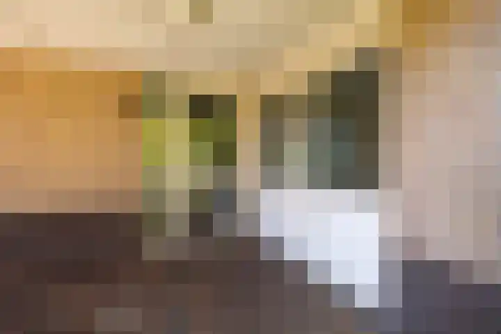 Kersehôf 15 Berltsum thumbnail 8