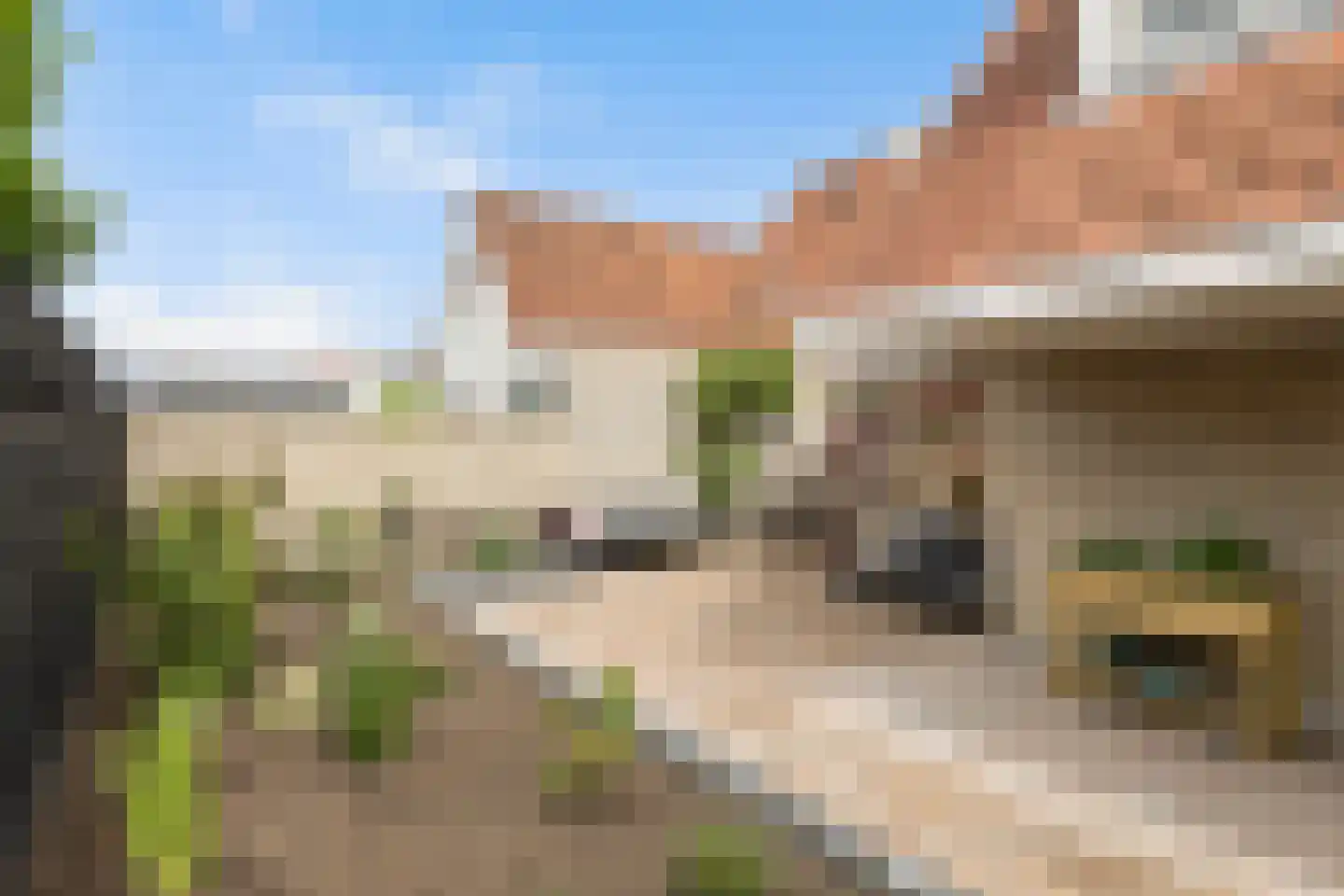 Kersehôf 3 Berltsum thumbnail 26