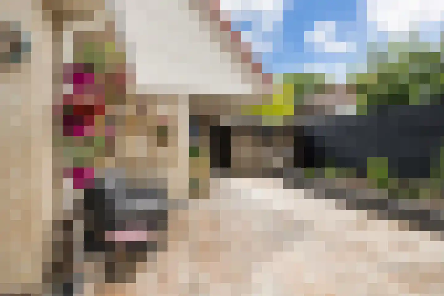 Kersehôf 3 Berltsum thumbnail 28