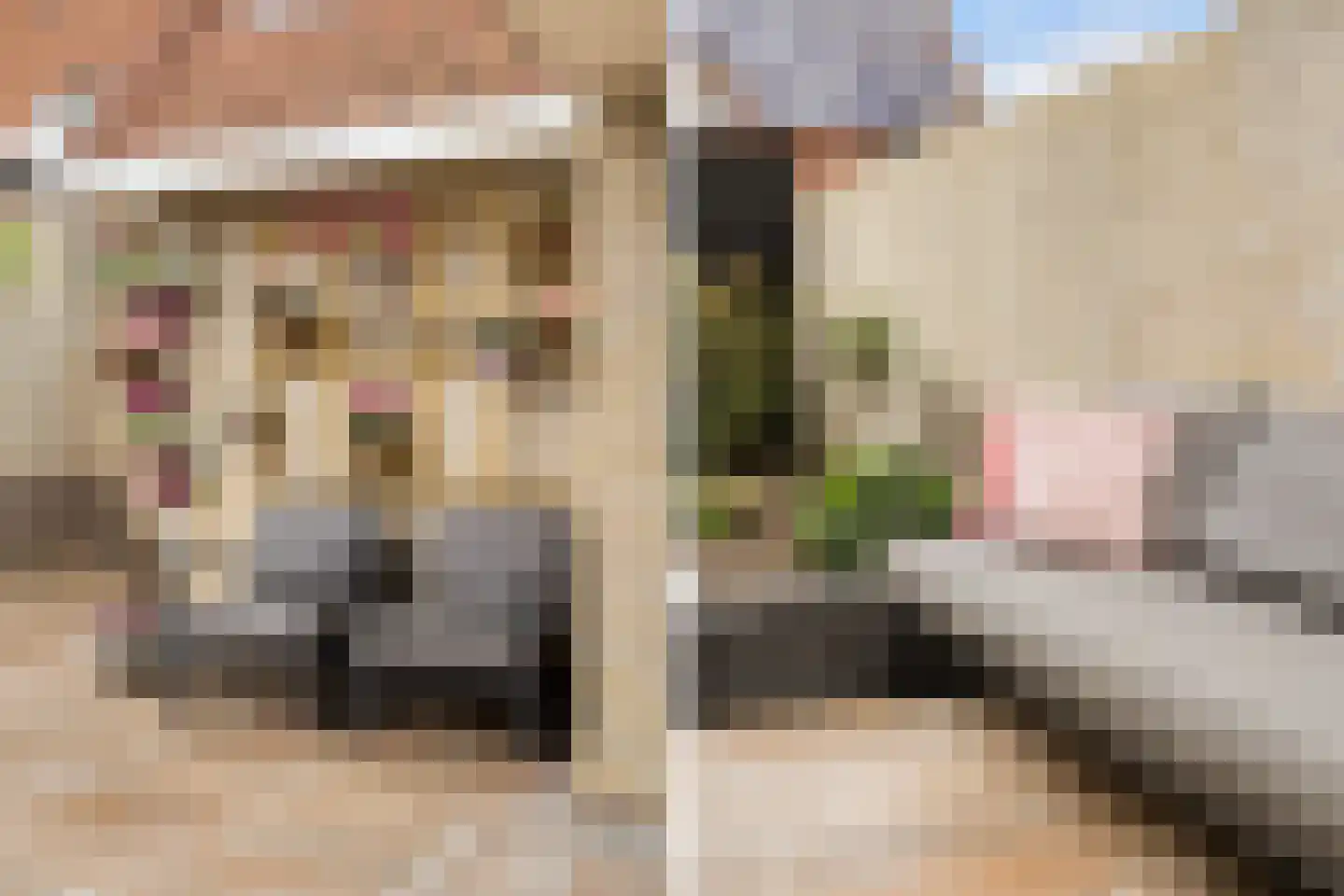 Kersehôf 3 Berltsum thumbnail 29