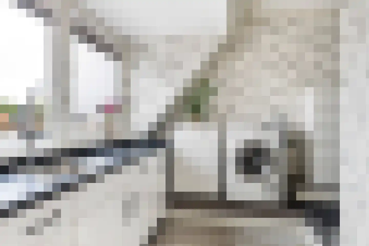 Kersehôf 3 Berltsum thumbnail 43