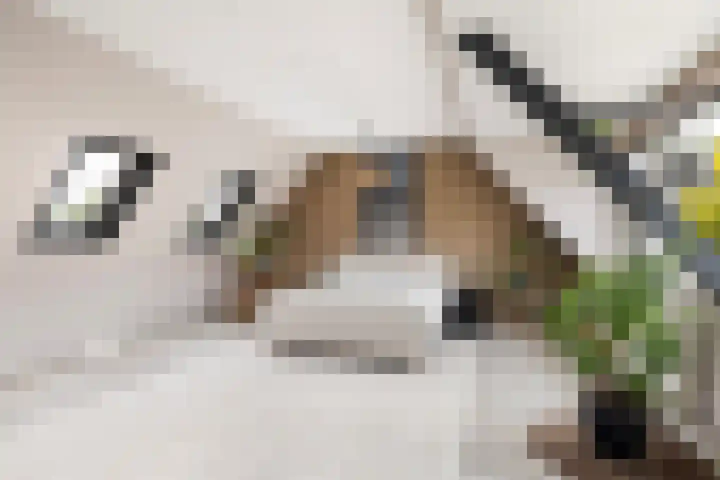Kersehôf 3 Berltsum thumbnail 46