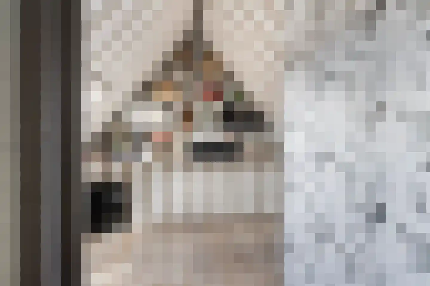 Kersehôf 3 Berltsum thumbnail 48