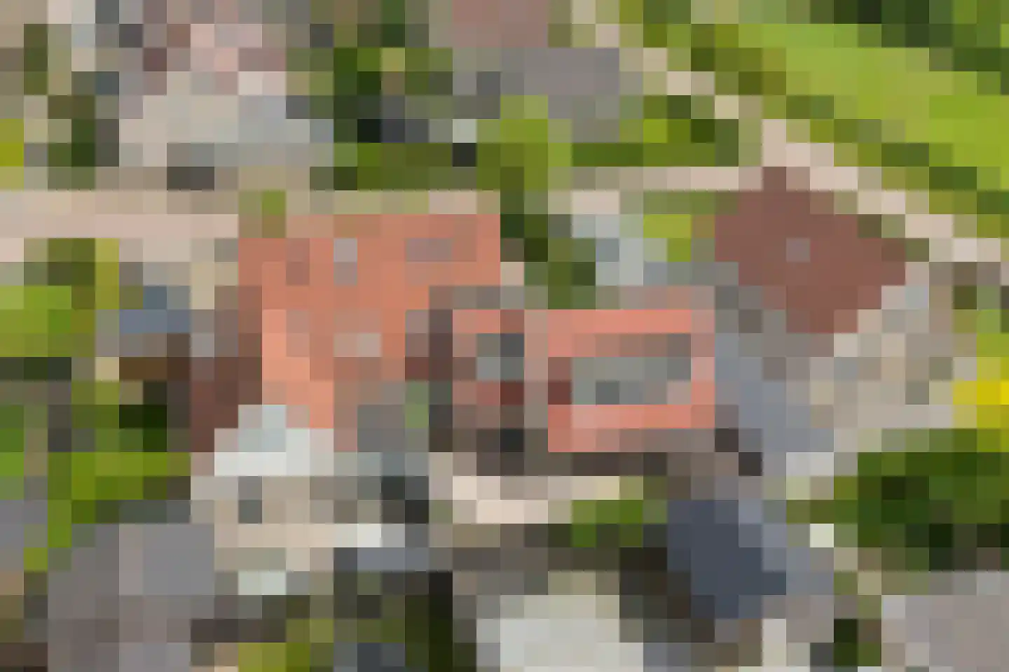 Kersehôf 3 Berltsum thumbnail 52