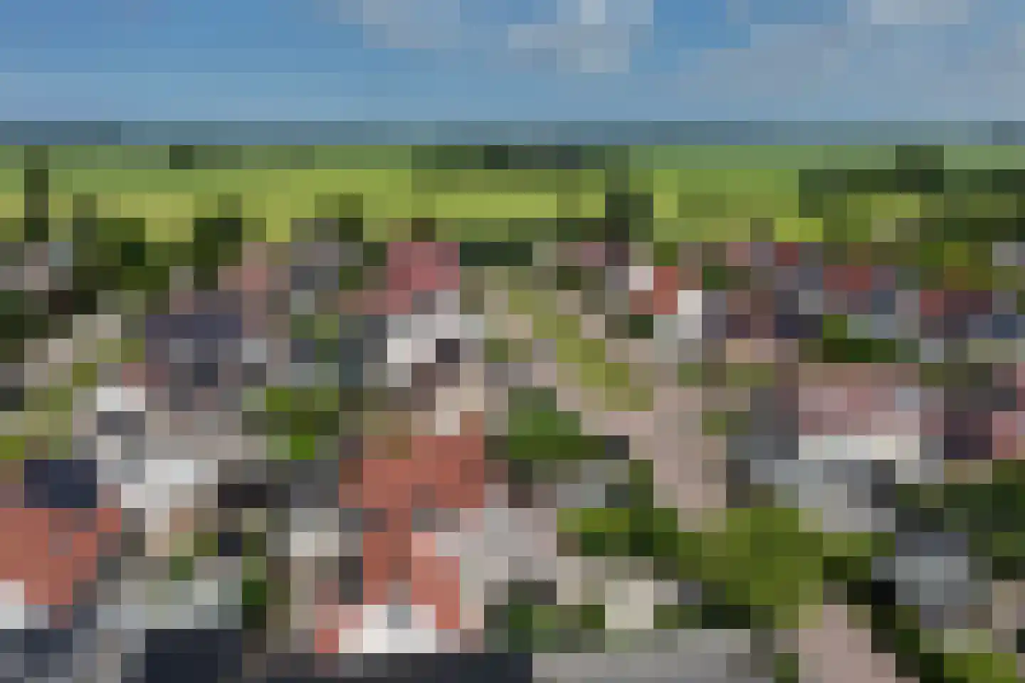 Kersehôf 3 Berltsum thumbnail 59