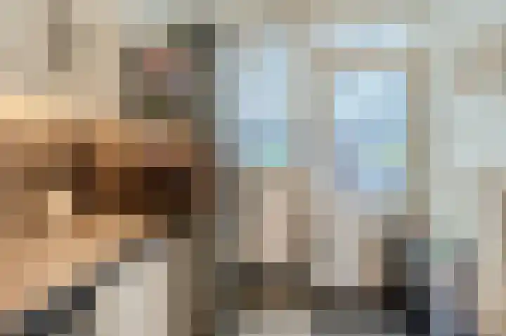 Kerselaar 14 Geldrop thumbnail 17