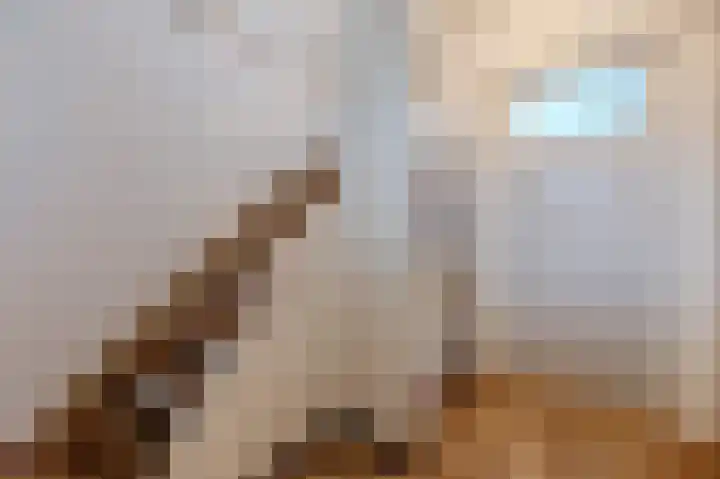 Kerselaar 14 Geldrop thumbnail 19