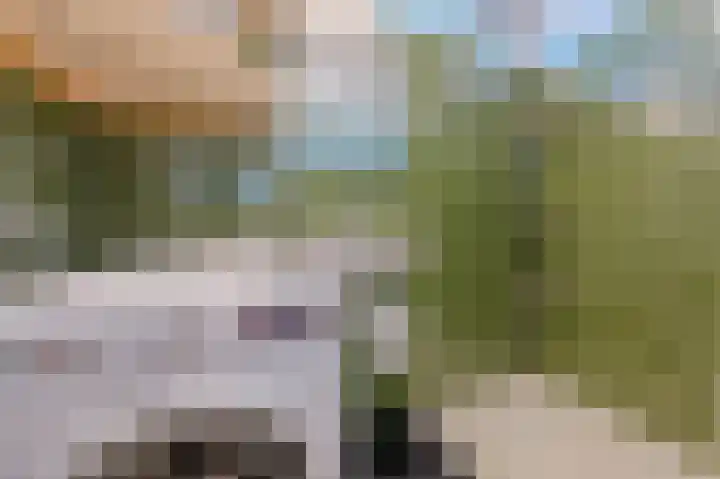 Kerselaar 14 Geldrop thumbnail 25