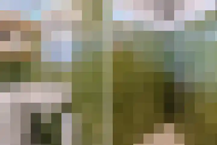 Kerselaar 14 Geldrop thumbnail 26