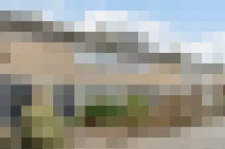 Kerselaar 14 Geldrop thumbnail 4
