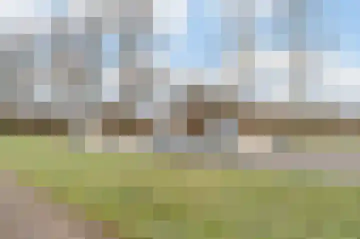 Kerselaar 14 Geldrop thumbnail 45