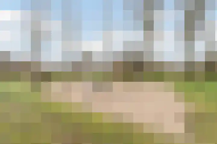 Kerselaar 14 Geldrop thumbnail 46