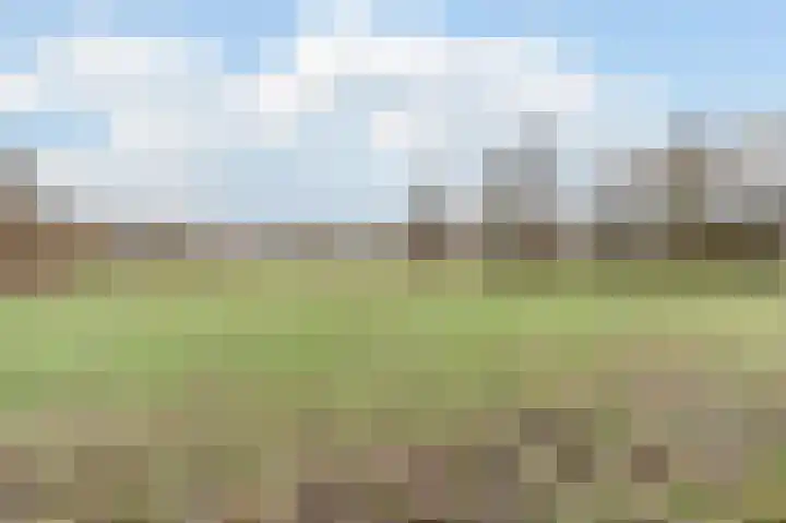 Kerselaar 14 Geldrop thumbnail 47