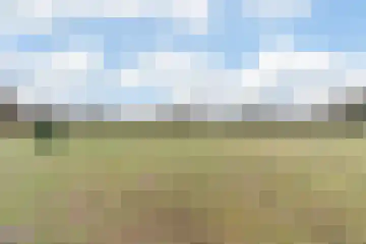 Kerselaar 14 Geldrop thumbnail 48