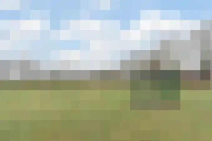 Kerselaar 14 Geldrop thumbnail 49