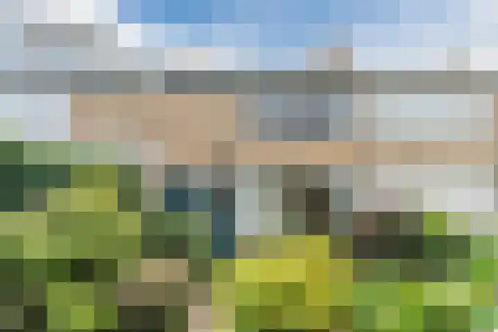 Kerselaar 22 Geldrop