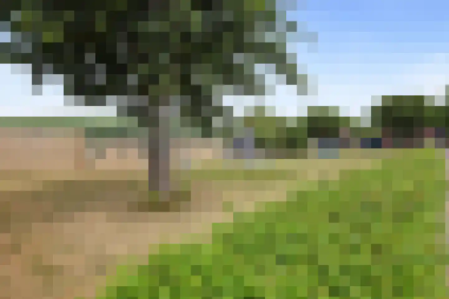 Kersenbogerd 39 Rossum thumbnail 37