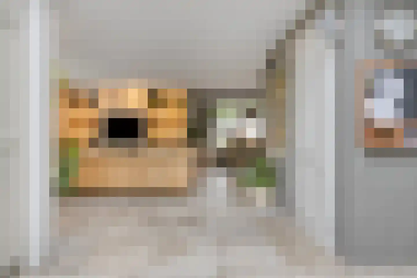 Kersenbogerd 8 Nuenen thumbnail 18