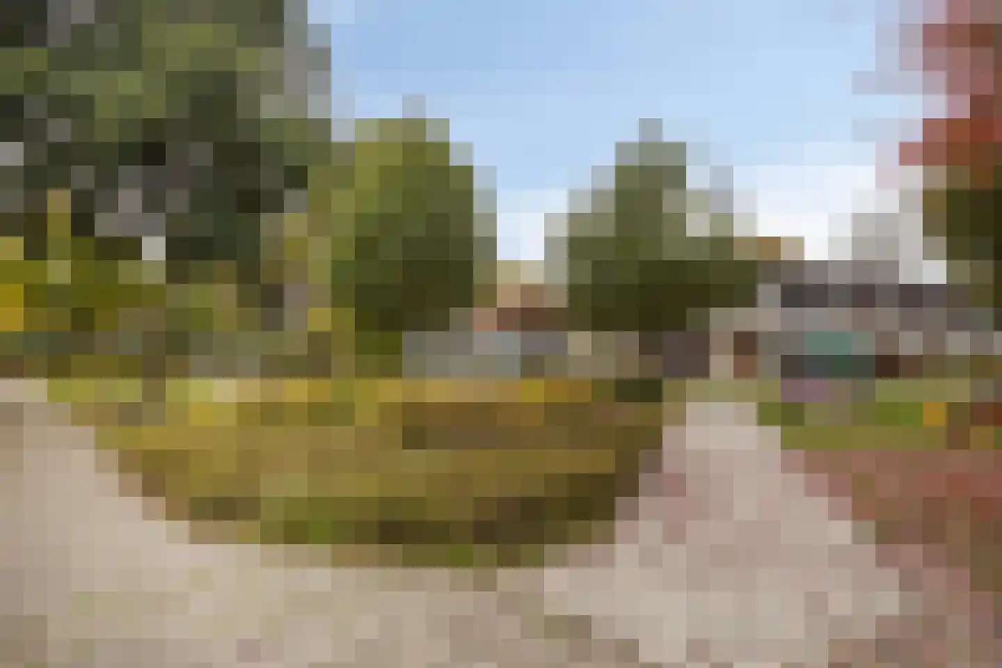 Kersenbogerd 8 Nuenen thumbnail 42