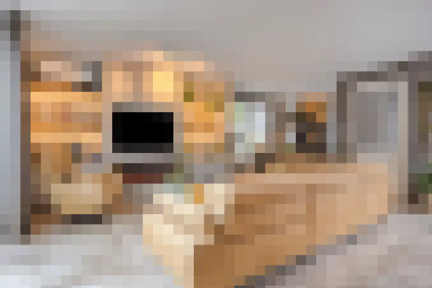 Kersenbogerd 8 Nuenen thumbnail 8