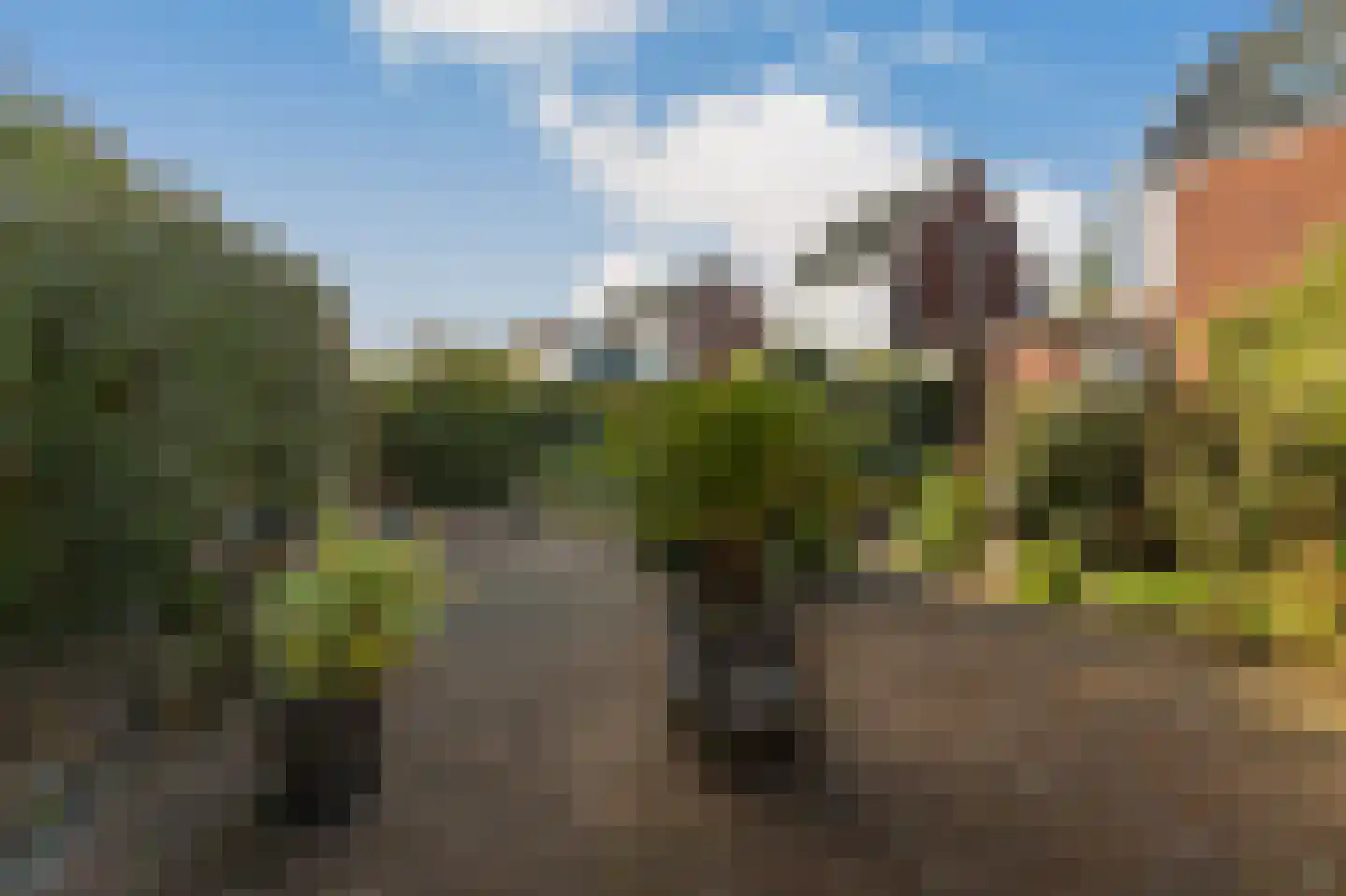 Kersenbogerd 9 Rossum thumbnail 46