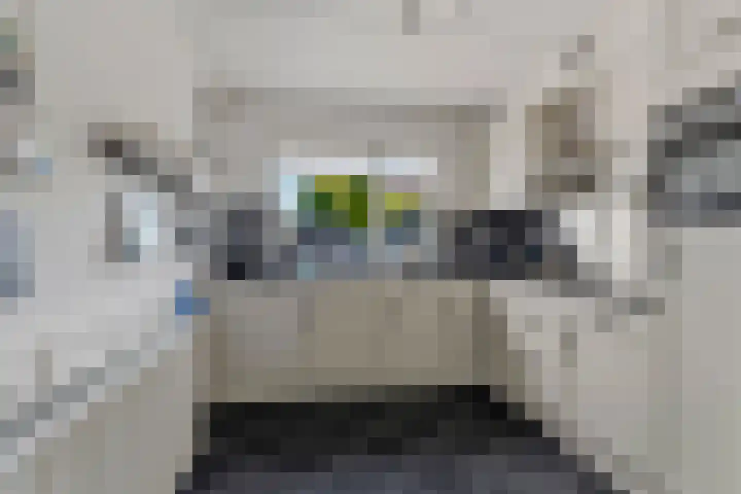 Kersenbongerd 10 Dodewaard thumbnail 15