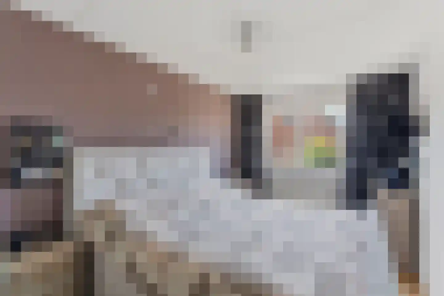 Kersenbongerd 10 Dodewaard thumbnail 23