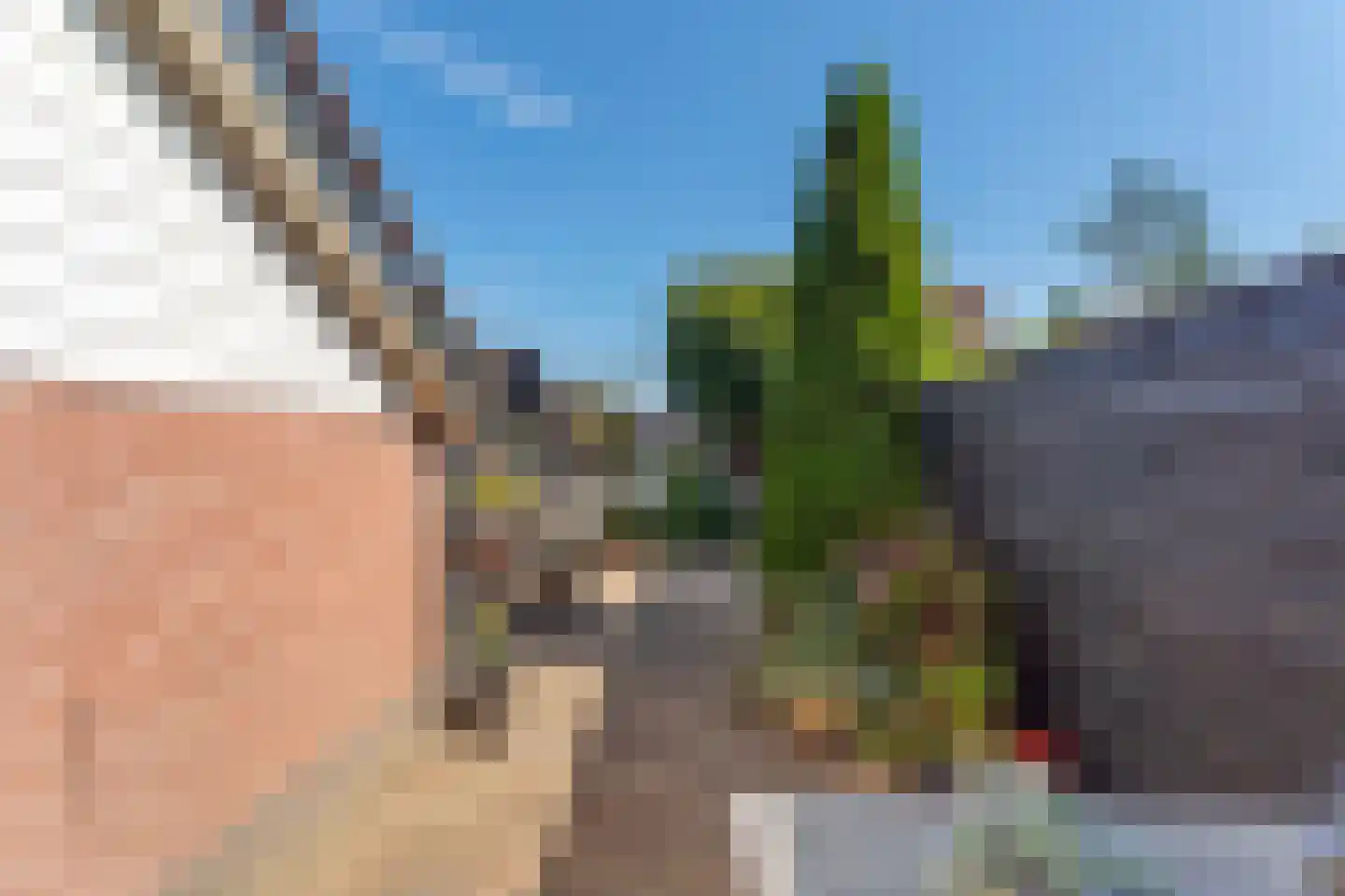 Kersenbongerd 10 Dodewaard thumbnail 45