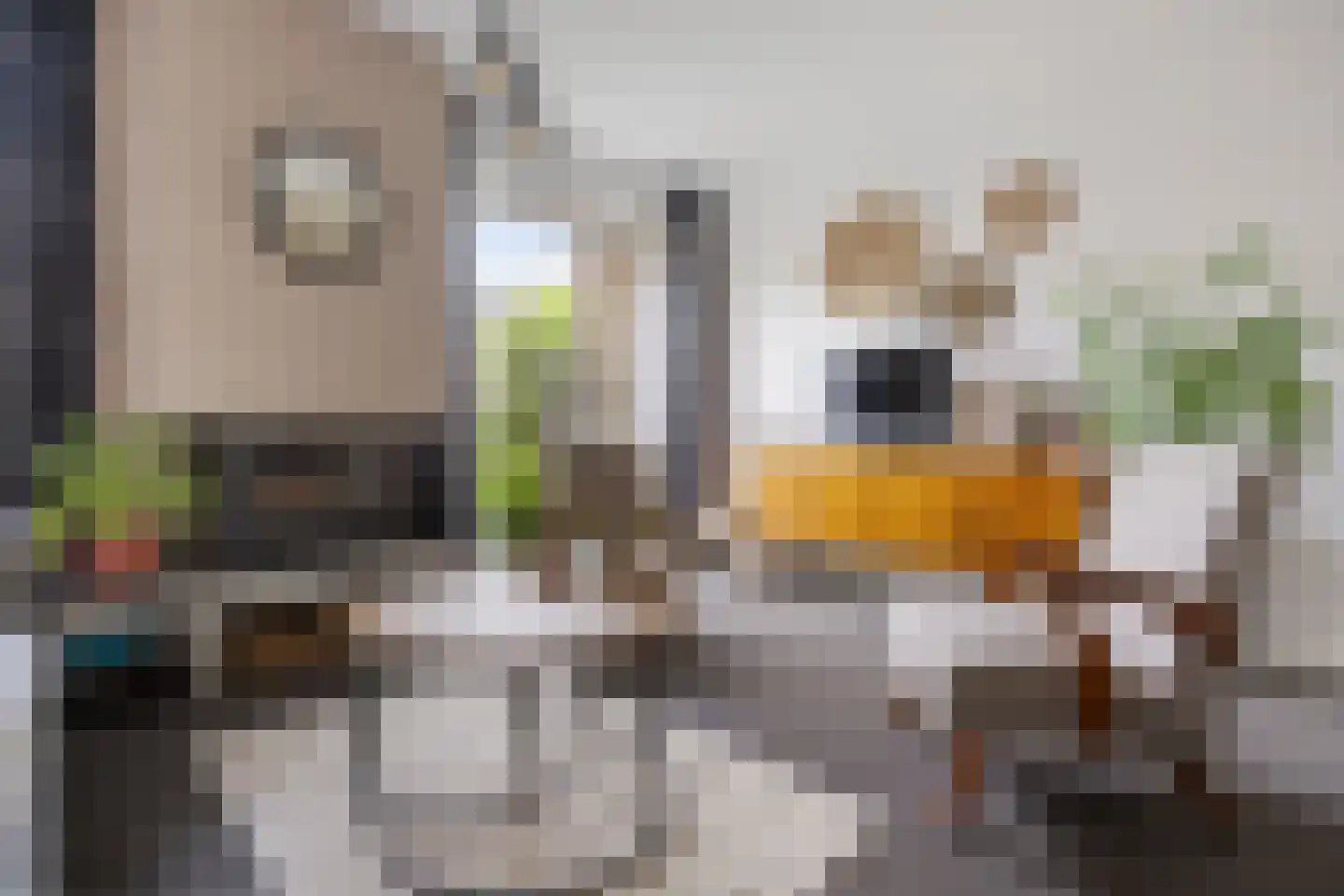 Kersenbongerd 14 Huissen thumbnail 15