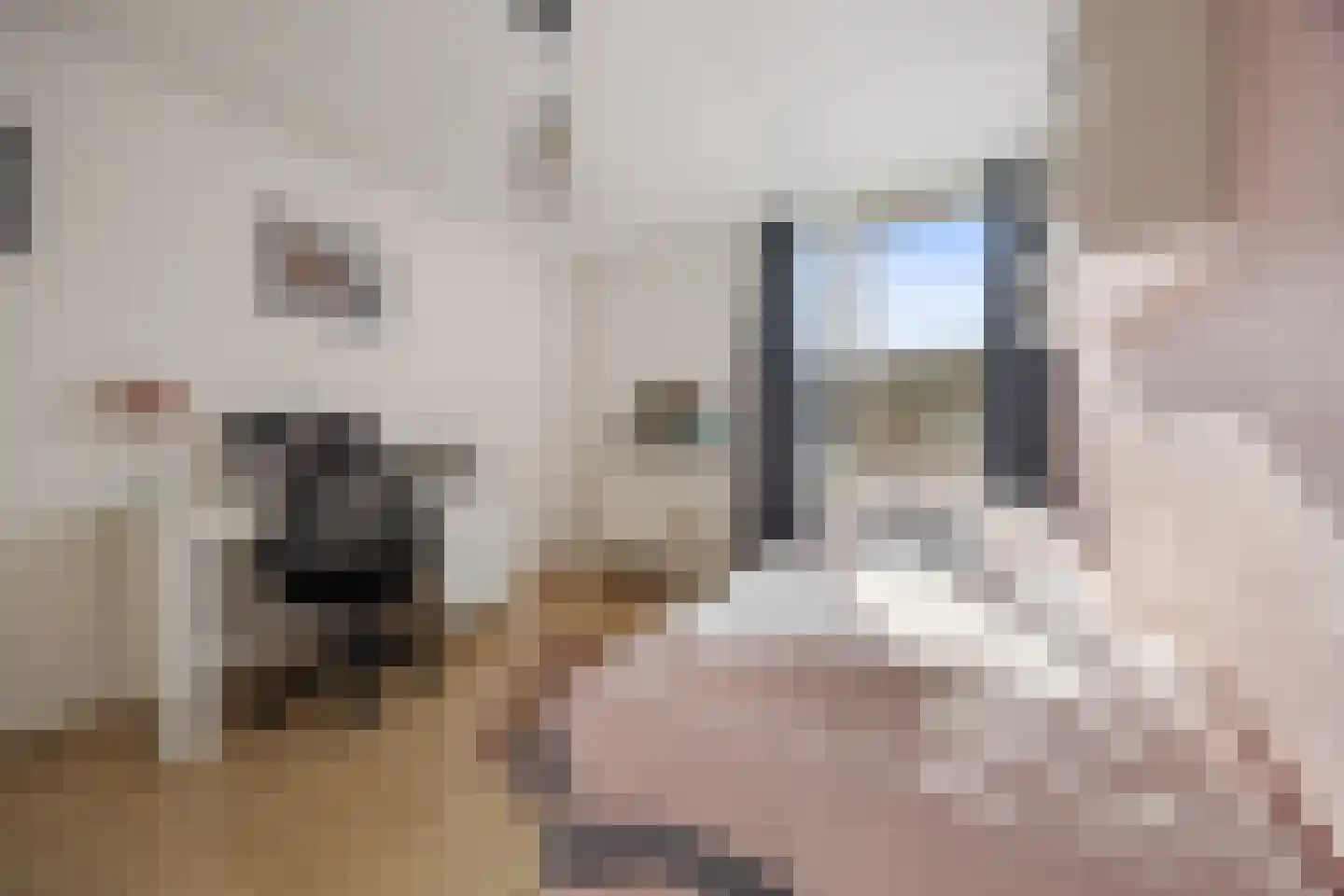 Kersenbongerd 14 Huissen thumbnail 31