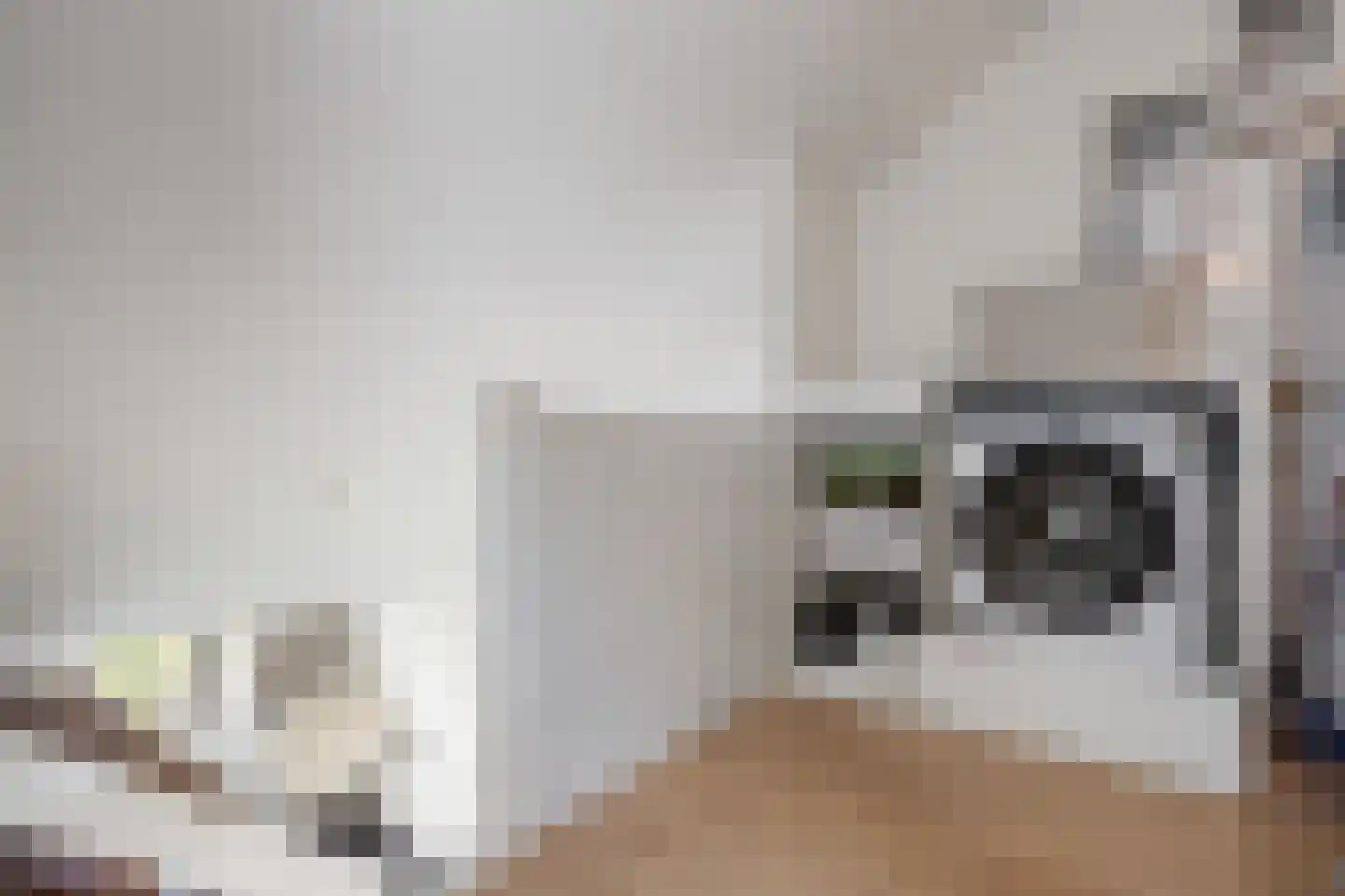 Kersenbongerd 14 Huissen thumbnail 39