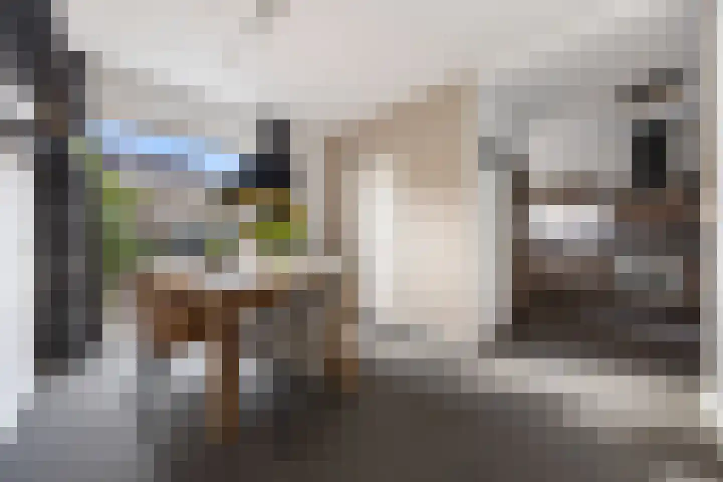 Kersenbongerd 14 Huissen thumbnail 9