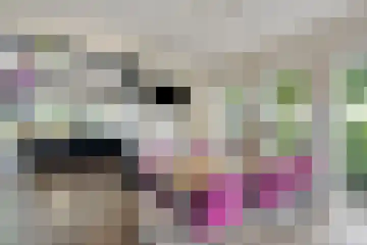 Kersenbongerd 27 Dodewaard thumbnail 20