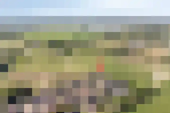 Kersenbongerd 27 Dodewaard thumbnail 4