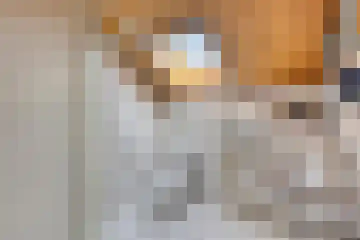 Kersenbongerd 27 Dodewaard thumbnail 47