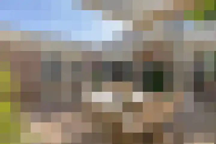 Kersenbongerd 27 Dodewaard thumbnail 52
