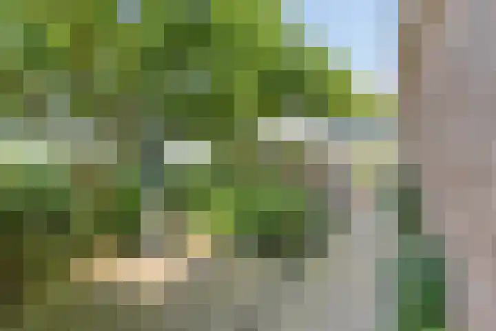 Kersenbongerd 27 Dodewaard thumbnail 54