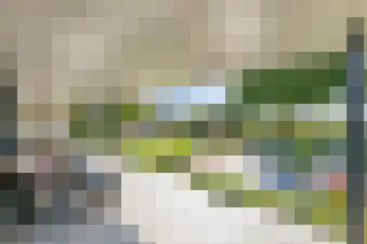 Kersenbongerd 27 Dodewaard thumbnail 55