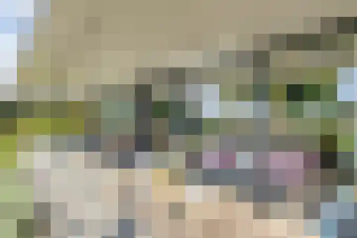 Kersenbongerd 27 Dodewaard thumbnail 57