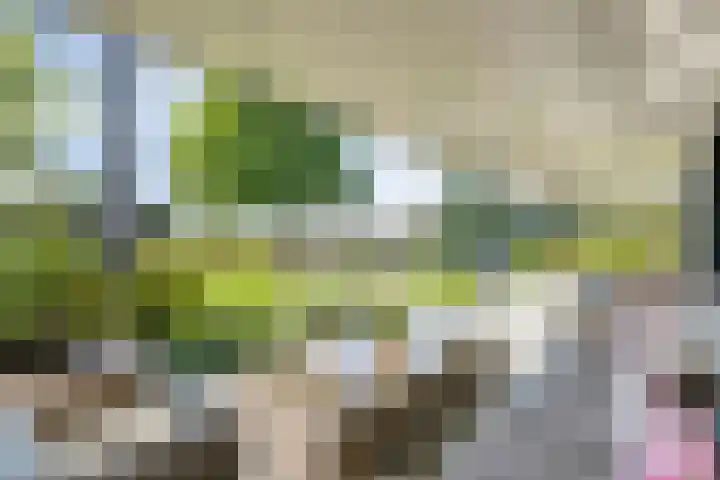Kersenbongerd 27 Dodewaard thumbnail 58