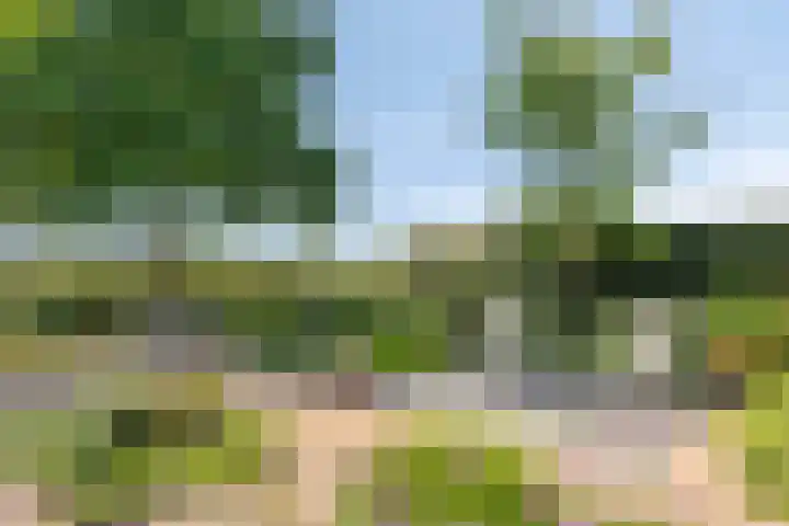 Kersenbongerd 27 Dodewaard thumbnail 59