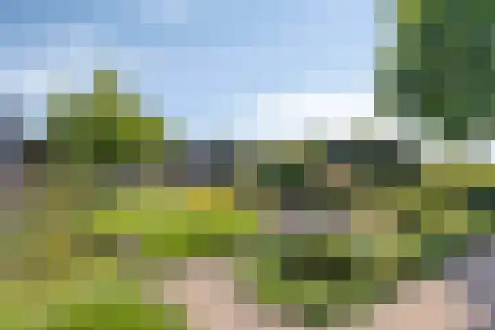 Kersenbongerd 27 Dodewaard thumbnail 60